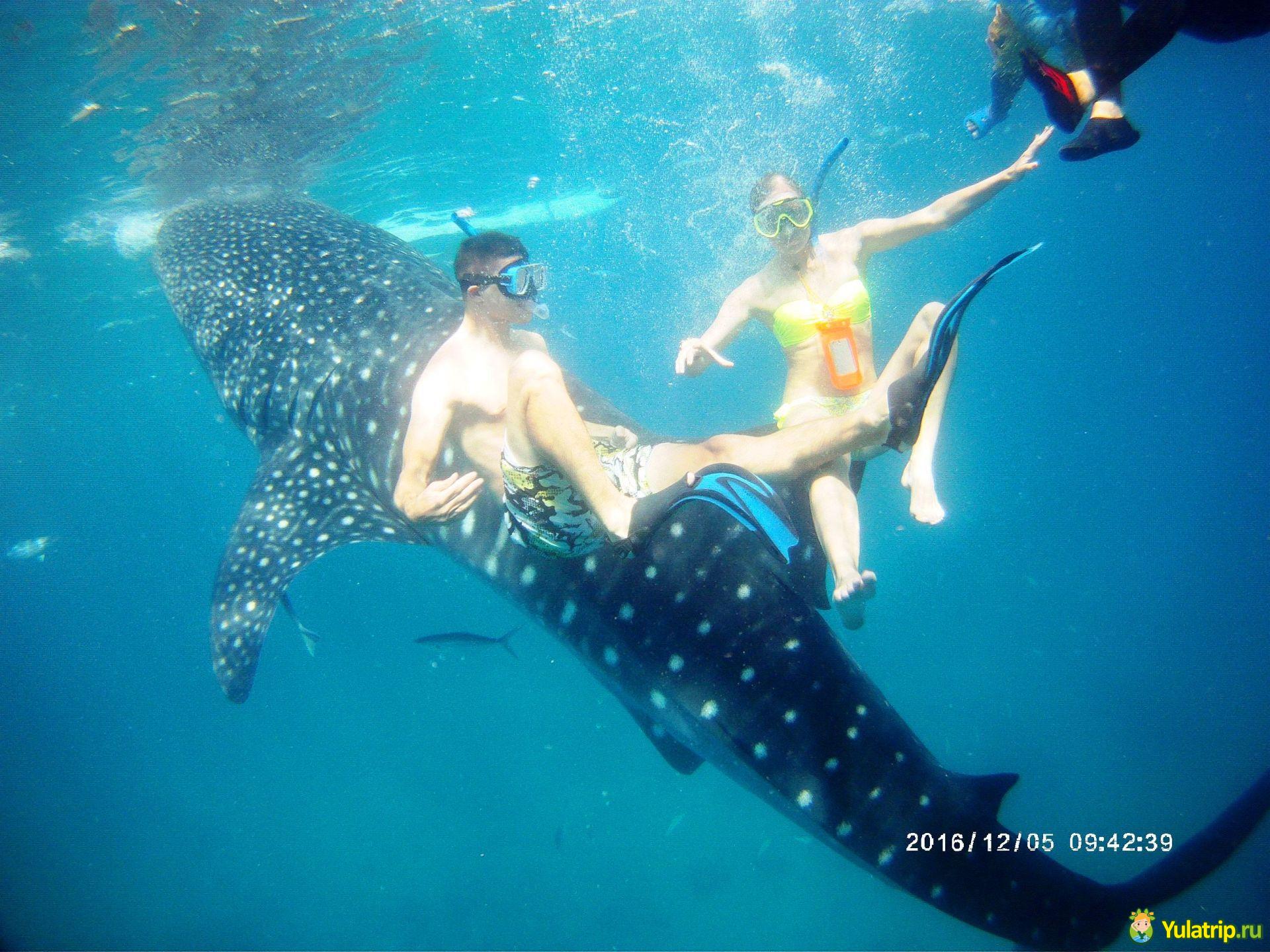 Как хорошо отдохнуть на острове Себу (Филиппины)