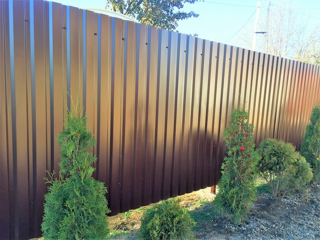 Забор из профнастила