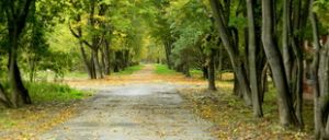 О закладке яблоневого сада на Пограничном острове крепости замолвим слово