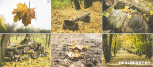 Пограничный остров в красках осени