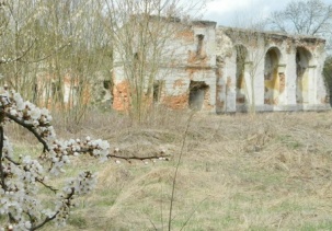 Непременной частью постоянных военных госпиталей в Брестской крепости были сады