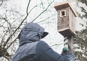 Брестчане отметили день весеннего равноденствия с пользой для города и Брестской крепости