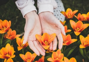 Фоторепортаж на тему: «Весна в Брестской крепости»