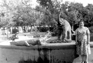 История одного фонтана в Кобрине
