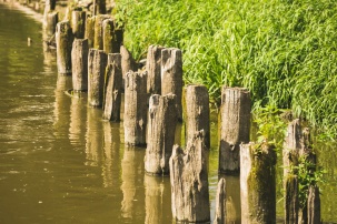 Уровень водных артерий Бреста остается низким