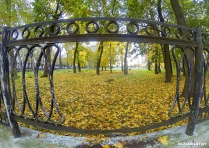 В Бресте в Городском саду высадят аллею деревьев и оборудуют первую пешеходную дорожку