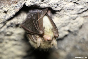 Привидения в Брестской крепости - это миф