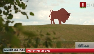 История железного зубра на M1 по дороге в Брест