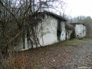 Зачем белорусские энтузиасты покупают части Брестской крепости