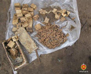 Более 1,2 тысячи патронов нашли вблизи пятого форта Брестской крепости