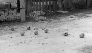 История с фотографией. Черепа на дороге в Бресте