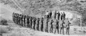 В Брестской области было расстреляно не менее 8 тыс. человек