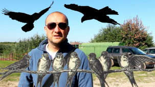 Станция кольцевания птиц «Ясельда» в «Споровском» заказнике Брестской области