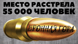Место расстрела более 55 тысяч человек. Бронная Гора. Брестское гетто