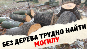 Поврежденные в период спила деревьев памятники на кладбищах в Бресте обещают восстановить