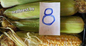 В Бресте на колхозном рынке появилась в продаже кукуруза: 8 рублей за килограмм