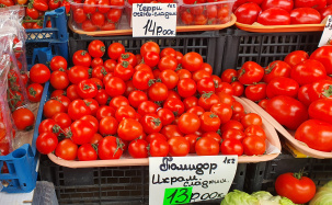 Обзор цен на овощи и фрукты на колхозном рынке в Бресте