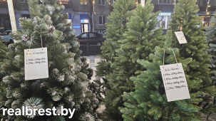 Узнали цены на искусственные елки на новогодней ярмарке в Бресте