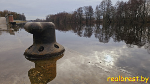 Проверили в Бресте. Уровень воды на многих реках Беларуси превысил опасную отметку