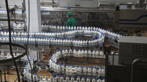 Один из гигантов молочной индустрии Беларуси понес большие убытки