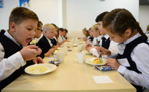 Головченко: проблемы в организации школьного питания еще остаются