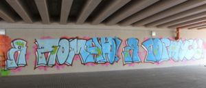 Легализованное хулиганство граффитистов в переходе под Берестейским мостом