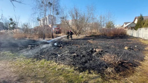 В Бресте регистрируется рост количества загораний сухой растительности