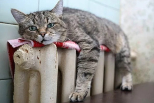 Когда в Беларуси начнут отключать отопление?