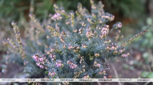 Сюрпризы марта. В Белгидромете рассказали, когда вернется тепло