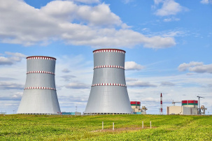 БелАЭС и местные виды топлива заместили одинаковый объема газа