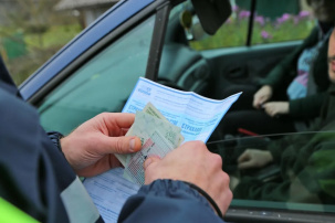 В Беларуси будут использоваться новые бланки «автогражданки»