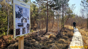 Ольманские болота являются уникальным лесоболотным комплексом Европы