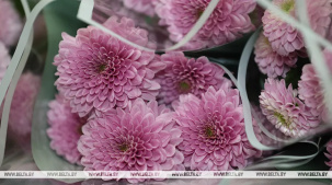 Звания "Человек года Брестчины" удостоены 14 жителей региона