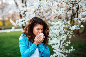 Уровень пыльцы в Беларуси достиг критической отметки