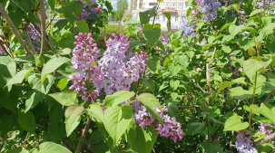 Когда в Беларусь вернется теплая погода, рассказали в Белгидромете