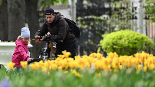 Матпомощь, Таиланд и снова большие выходные: главные изменения мая