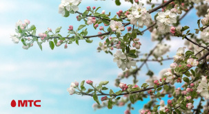 В честь 80-летия Победы МТС подарит ветеранам безлимит мобильной связи со скидкой 100%