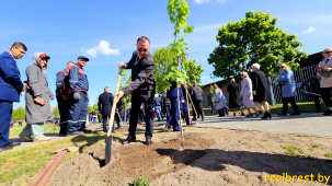 Аллею Памяти заложили возле Брестской крепости в честь 80-летия Победы