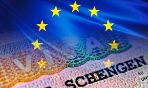 Официальная статистика по выдаче шенгенских виз в Беларуси за 2024 год