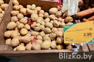 В Академии наук назвали справедливую цену на картошку