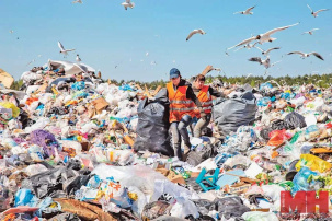 Лукашенко ужаснулся стихийным свалкам в Минском районе