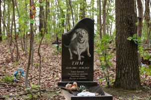 Кладбища домашних животных вне закона: как в Беларуси похоронить питомца