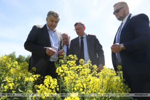 Шулейко проинспектировал состояние посевов после весенних заморозков