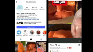 Брестчанка хотела купить 10 кг красной рыбы по низкой цене, но стала жертвой мошенников