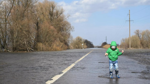 МВД: в Беларуси с начала 2025 года на дорогах погибли 10 детей