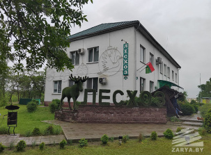 В Малоритском лесхозе показали процесс заготовления лесного меда