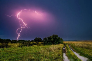 В Петриковском районе мужчина выжил после удара молнии, который убил 71 корову. Что его спасло?