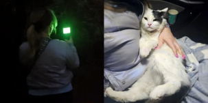 Кошка сбежала прямо на границе. Ее искали с тепловизором почти сутки