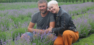 Лавандовые поля, хотя пока и не такие масштабные, есть и в белорусских деревнях