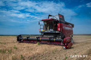 Уборочная кампания в Брестской области вошла в активную фазу